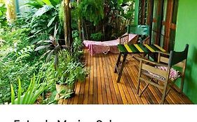 Jardin De Naipi