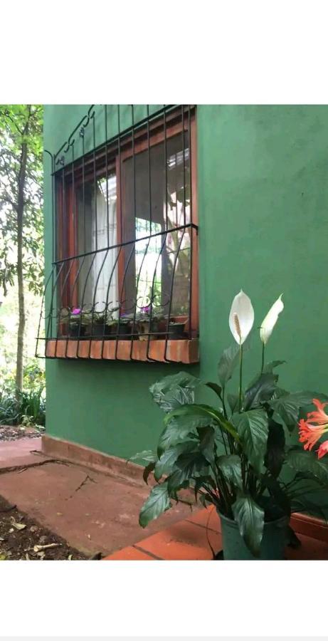 Jardin De Naipi Apartment Puerto Iguazu Exterior photo